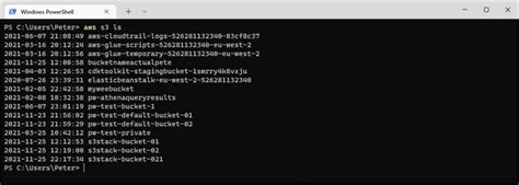 aws s3 ls pattern|ls — AWS CLI 2.17.1 Command Reference .